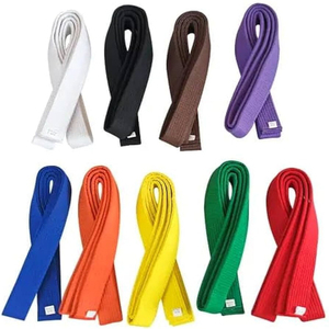 Cinturón de Taekwondo Personalizado con Diseño Único, Costuras Reforzadas, Cinturón Deportivo de Artes Marciales con MOQ Bajo - Product Image 4