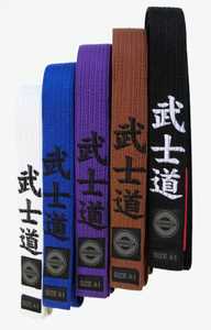 Cinturón de Jiu Jitsu Brasileño Personalizado, 100% Algodón, Cinturón de Artes Marciales, Blanco, Azul, Morado, Marrón, Negro, para Adultos y Niños, Venta al Por Mayor - Product Image 3