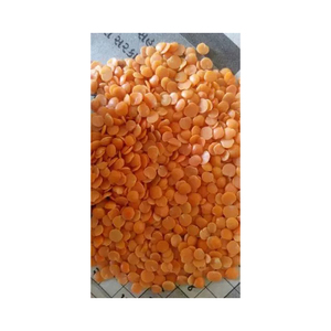 ถั่วเลนทิลแดงคุณภาพสูง สำหรับผู้ซื้อขายส่งที่ต้องการปริมาณคงที่ - Product Image 2