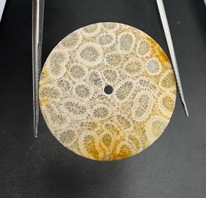 Cadran de montre en pierre de corail fossile naturel, cadran en pierres précieuses fait main pour NH35 NH36, pièces de montre de luxe personnalisées, épaisseur 31,5 mm, 1,5 mm - Product Image 1