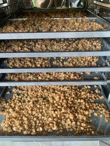 Dried Longan with Lotus Seed <b>Sweet</b> Golden Brown Dried Longan with Lotus Seed Vietnam Healthy Dessert Vacuum Packed Bulk Longan - Product Image 2