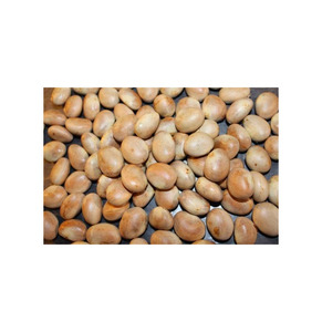 Graines de Jackfruit de Qualité Supérieure Afrique du Sud Stock Frais Vente en Gros Approvisionnement en Vrac Longue Durée de Conservation Alimentaire GLOBAL EXPORT CONSULTANCIES - Product Image 1