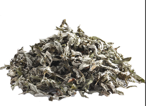 Vietnam Manufacturer Supply Top Notch Quality Top Selling Wholesale Price <b>Mugwort</b> Customized Packaging - Product Image 1