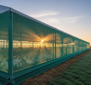 Warp Knitted Grass Green <b>Plastic</b> Shade <b>Net</b> with Cutting & Moulding Services Made in India by FORTUNE AGRO <b>NET</b> - Product Image 3