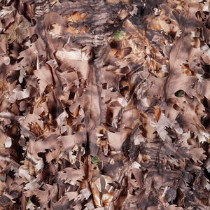 Poncho unisexe camouflage à capuche imperméable en softshell pour la chasse, vêtements de printemps pour adultes, équipement de plein air - Product Image 5