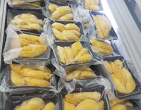 Premium Vietnamese Durian Leverancier |   Verse & diepvriesdurian voor export – groothandelsprijs per bulk // Mr. Tom