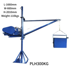 Grúa de Elevación Mini de 300 kg, Suministro Directo de Fábrica - Product Image 1
