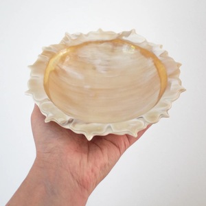 Bandeja Rectangular de Diseño Moderno de Una Sola Capa, Tallada y Pulida, Ecológica y Sostenible, Hecha de Cuerno de Búfalo Natural de ILAHI, con Capacidad de 6-10L - Product Image 1
