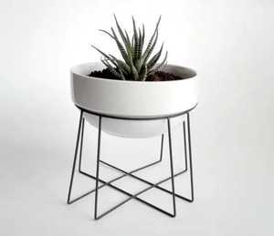 Ensemble de 2 supports de plantes en métal doré, base ronde demi-sphère pour pot de fleurs, support de table intérieur, balcon, étagères pour plantes en fer forgé - Product Image 5