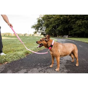 Aero Mesh 2-in-1 Dual Sided <b>Dog</b> Leash <b>Collar</b> Comfortable and Breathable Adjustable for Pet Convenience - Product Image 5