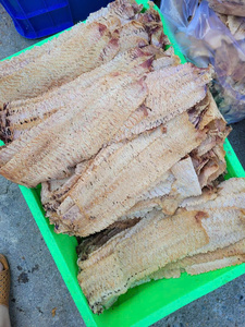 CALAMAR ENROLLADO DE LA FERIA DE LOTO AZUL DE ALTA CALIDAD, RICO EN PROTEÍNAS, SNACK DE MARISCOS SALUDABLE Y MASTIZANTE, Caja de Cartón de 10 kg, Suministro a Granel Disponible - Product Image 3