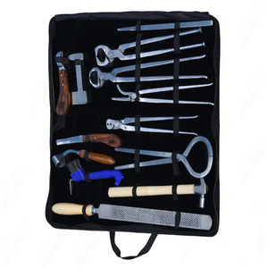 Kit complet de ferrage en acier inoxydable réutilisable pour débutants et experts, outils de soin des sabots de cheval, utilisation vétérinaire durable - Product Image 2