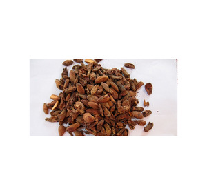Graines de Jackfruit Fraîches Afrique du Sud – Exportation Mondiale – Vente en Gros – Qualité Supérieure pour Acheteurs B2B – Commandes d'Exportation - Product Image 3