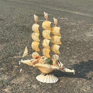 Vietnam Mix Seashell For Professional Photography Props And Creating Savory Traditional Ocean Sets 99 Gold Data Co - Product Image 4