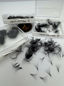 Fournisseur d'extensions de cils pré-faits en marque privée 10D-20D 0.03/0.05/0.07 Fibre synthétique Base pointue Noir mat Soie de vison - Product Image 5