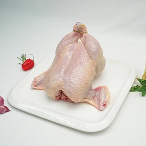 Poulet surgelé nutritif pour restaurants, hôtels et commerces de détail, avec traitement professionnel et prix compétitifs. - Product Image 2