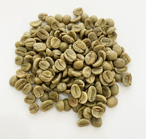 ขายส่งเมล็ดกาแฟโรบัสต้าสีเขียวคุณภาพพรีเมียม พร้อมจัดส่ง คุณภาพเยี่ยมสำหรับการส่งออกจำนวนมาก - Product Image 3