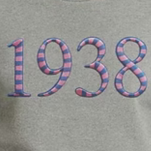 เสื้อสเวตเชิ้ตปักลายพัฟ 3 มิติ สีเทาสำหรับเด็กผู้หญิง เสื้อแขนยาวลำลอง สวมใส่สบายทุกวัน เสื้อผ้าสไตล์ไลฟ์สไตล์ - Product Image 2