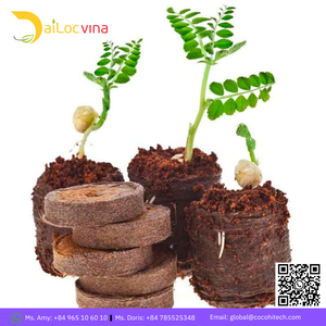 COCO TURBA COCO DISCO PARA PLANTAS VEGETALES Y FLORES - Product Image 6