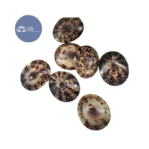 [MEILLEURES VENTES] |   Fourniture de flocons de coquillages bleus écrasés |   Matières premières pour la décoration de table en résine, Vietnam - Product Image 1