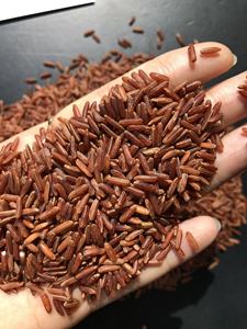 Riz rouge biologique de qualité supérieure Riz séché sain du fournisseur vietnamien Meilleur prix Contact Kylie sur + 84 944500504 - Product Image 3
