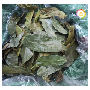 ใบฝรั่งแห้งธรรมชาติ จำหน่ายเป็นกิโลกรัม ใบเต็ม สะอาดและผ่านกระบวนการอย่างดี เหมาะสำหรับการสั่งซื้อจำนวนมาก - Product Image 4