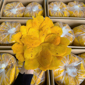 ผู้ผลิตเวียดนาม มะม่วงอบแห้งแบบนุ่ม ขนมขบเคี้ยวเพื่อสุขภาพจากธรรมชาติ ขายส่งจำนวนมาก โรงงานส่งออก - Product Image 1