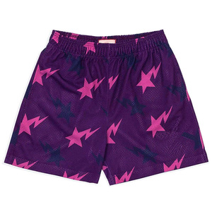 Men's Purple Swim Trunks Elastic Waist Breathable Woven Polyester Quick Dry Eco-Friendly Drawstring Closure Shorts - Product Image 1