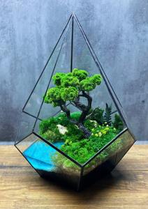 Terrarium en verre géométrique avec arbre style bonsaï et paysage aquatique, décoration de table intérieure pour la maison, le bureau et les cadeaux - Product Image 3