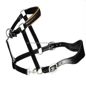 Diseño personalizado de cuero anatómico de caballo Halter de cuero indio de alta calidad con hebilla de latón niquelado relleno suave de vaca - Product Image 5