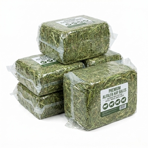 Foin d'alfalfa de qualité supérieure, alimentation animale de haute qualité, fourrage pour bétail, chevaux, bovins, laiterie, vente en gros, approvisionnement en vrac, exportateur - Product Image 1
