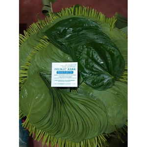 Selección de Hojas de Betel de Lujo para Festivales y Rituales a Precio de Mayoreo - Product Image 1