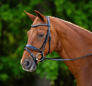 Bridon de dressage haut de gamme avec rênes en cuir souple, cuir indien, passepoil cognac et frontale ornée de cristaux - Product Image 1