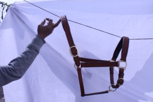 Harnais de cheval en cuir de qualité supérieure, réglable, rembourré, durable, harnais western robuste, doux et confortable, têtière pour cheval - Product Image 5