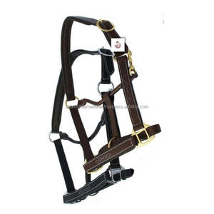 Equipo de caballo de silla de montar inglés de alta calidad Accesorios de accesorios de fabricación de cabestro de caballo ecuestre de cuero de calidad - Product Image 2