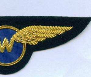 Badge d'aile de blazer en fil d'or 3D personnalisé, meilleur prix, motif brodé pour sacs à coudre, uniformes, tissu à fonction magnétique - Product Image 2