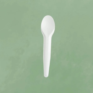 Cuillère jetable robuste de 155 mm pour servir soupes, riz, curry et plats chauds, idéale pour les boulangeries, pâtisseries et salons de crème glacée - Product Image 1