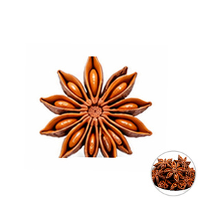 Anis étoilé de qualité supérieure, prix compétitif, norme internationale, fournisseur vietnamien, 25 kg/carton - Product Image 1