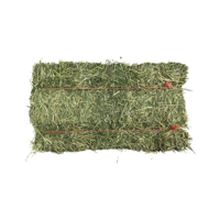 Foin d'alfalfa de qualité en vrac pour les marchés de l'alimentation agricole