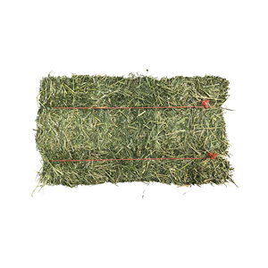 Foin d'alfalfa de qualité en vrac pour les marchés de l'alimentation agricole - Product Image 1