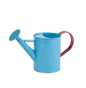 Arrosoir en métal peint en bleu avec long bec, outil d'arrosage pour plantes, pot à eau de jardin - Product Image 4