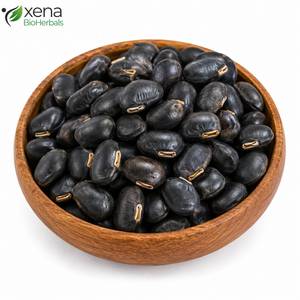 Proveedor Mayorista de Semillas de Mucuna Pruriens, Materia Prima Botánica Natural para Productos Herbales - Product Image 2