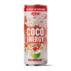 Rita Coco Energy Fruity Carbonated Apple No Sugar No Sweetener Coconut Water 250ml Can OEM ODM Wholesale - Product Image 3