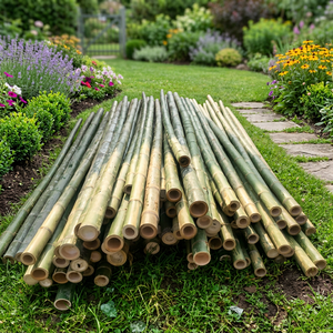 Pôles en bambou séché traité, robustes et durables, grand diamètre, pour clôtures extérieures, aménagement paysager et décoration de jardin - Product Image 1