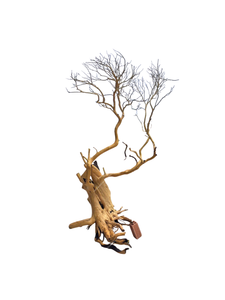 Ornement d'aquarium unique en bois flotté naturel de grande taille, forme irrégulière, durable, décoration de bac à poissons fabriquée au Vietnam - Product Image 5