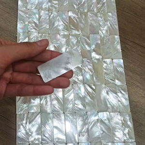 <b>Top</b> Quality Mother of Pearl Inlay Blanks Mother of Pearl Shell Pieces For Guitar Inlay Material White Mother of Pearl Shell - Product Image 2