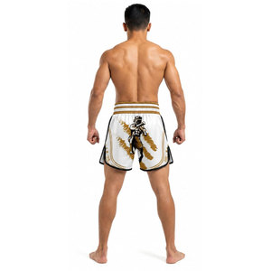 Custom Printed Breathable Casual Men's MMA BJJ Jiu Jitsu <b>Grappling</b> Wrestling Muay Thai Boxing Fighting <b>Shorts</b> - Product Image 4