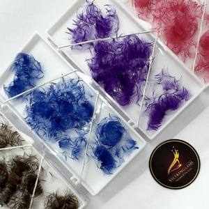 Extensions de cils pré-faits en éventail, en poils synthétiques PBT coréens, naturels et longs, en plateau mixte, courbures CC/DD/M/L, faits à la main, logo personnalisé - Product Image 1