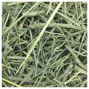 Heno Seco Timothy de Primera Calidad en Bolsas para Venta al por Mayor, Distribución y Exportación a Nivel Mundial - Product Image 4