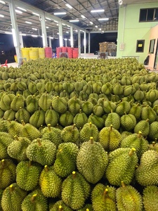 Vente chaude de fruits frais Durian fabriqués au Vietnam de haute qualité prêts à exporter WA84786436556 - Product Image 5